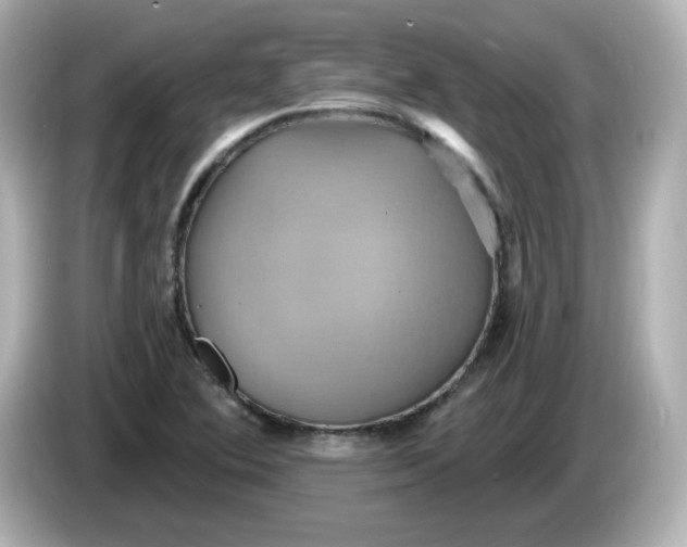 X0000086021364200704091106