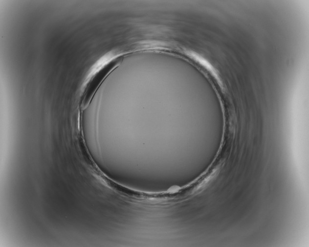 X0000086021365200704091106