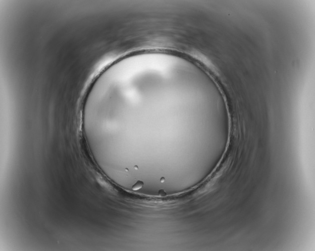 X0000086021366200704091106