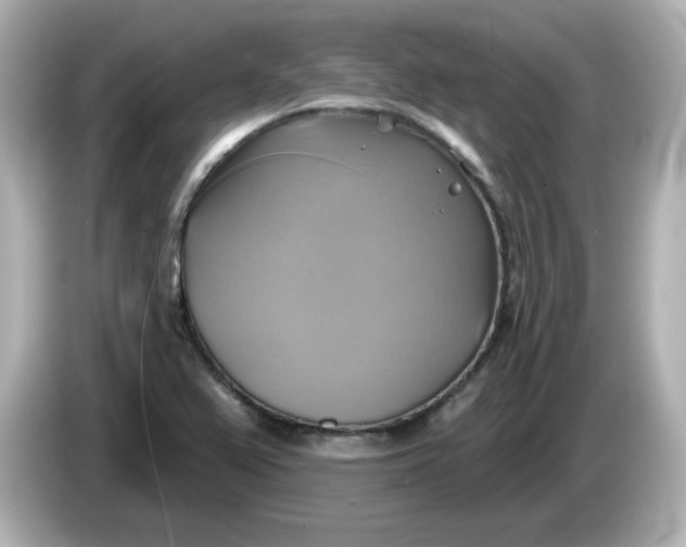X0000086021367200704091106