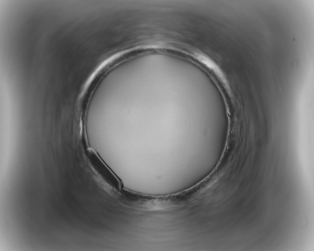 X0000086021368200704091106