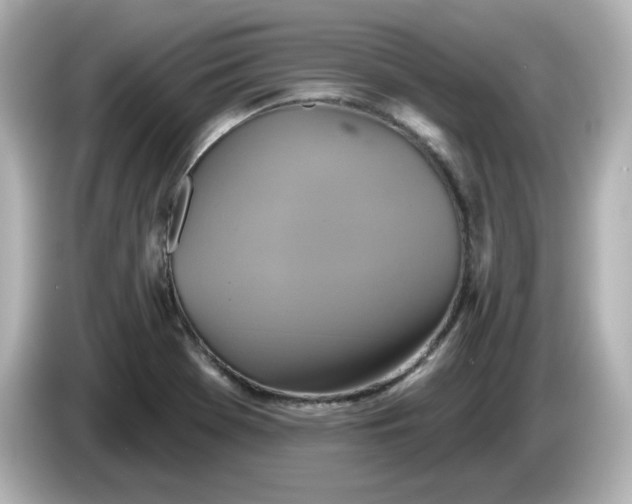 X0000086021369200704091106