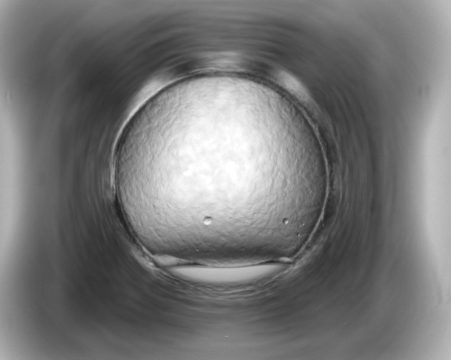 X0000086021370200704091106