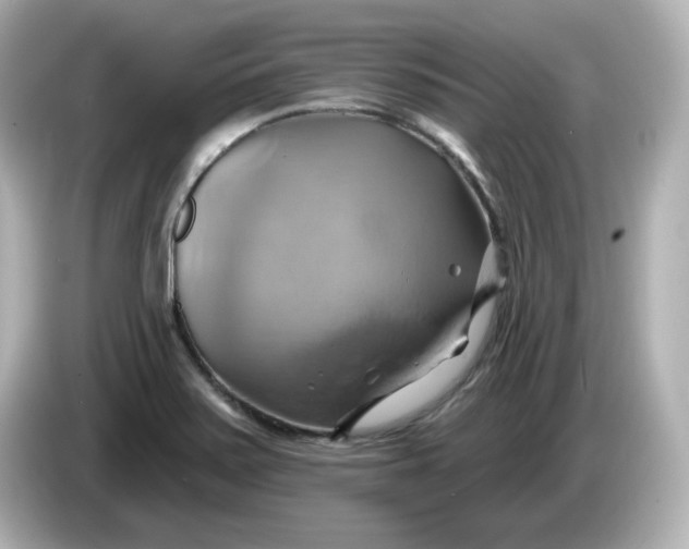X0000086021371200704091106