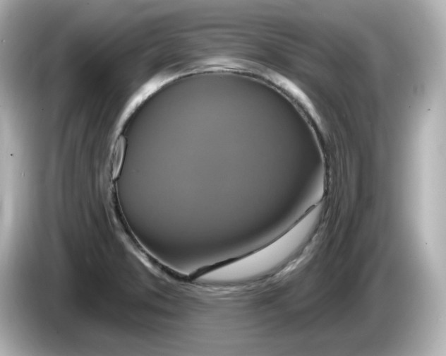 X0000086021373200704091106