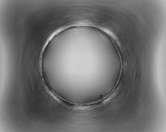 X0000086021374200704091106