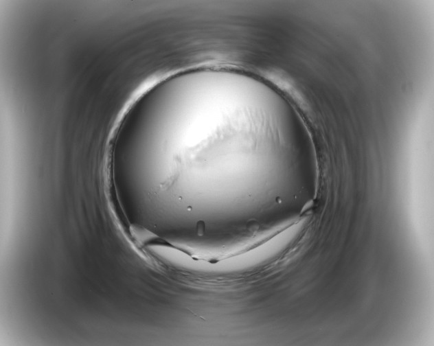 X0000086021375200704091106