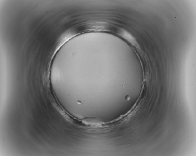 X0000086021378200704091106