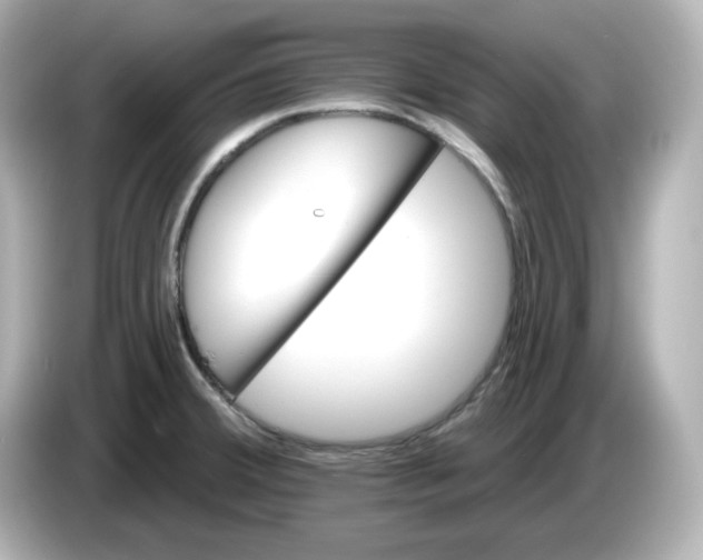 X0000086021380200704091106
