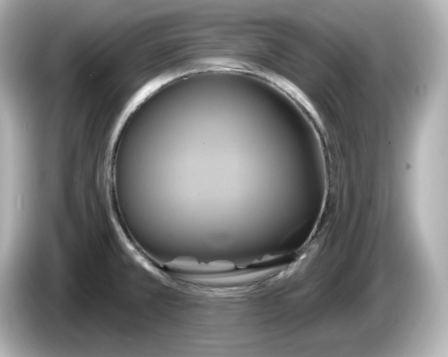 X0000086021381200704091106