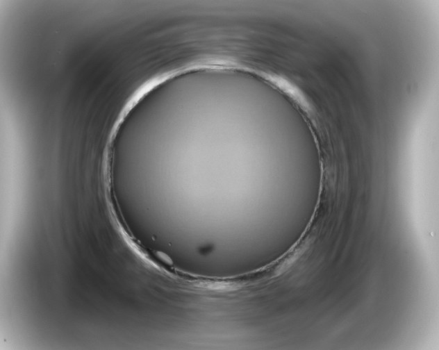 X0000086021382200704091106