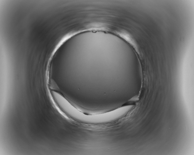 X0000086021383200704091106