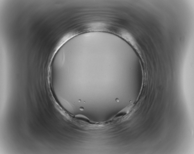 X0000086021386200704091106