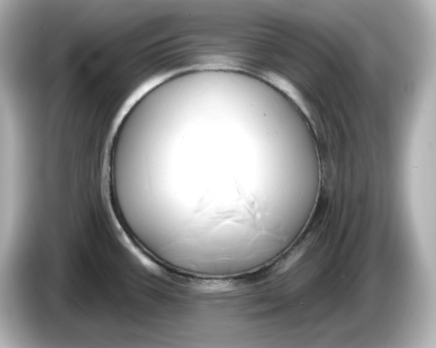 X0000086021387200704091106