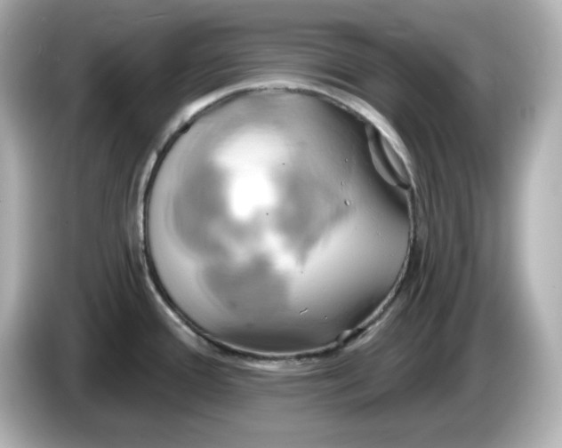 X0000086021388200704091106