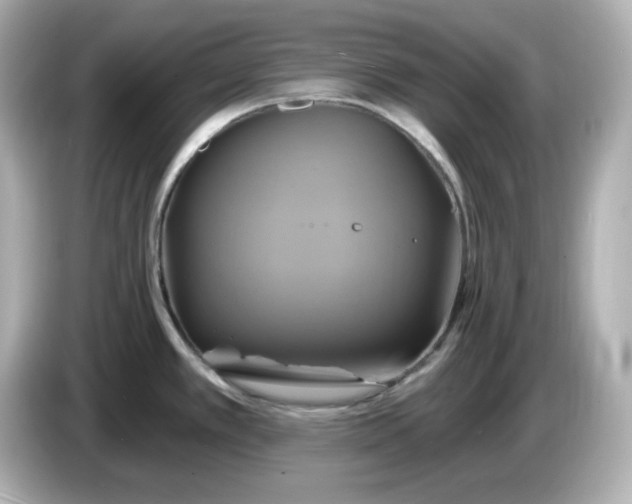 X0000086021389200704091106