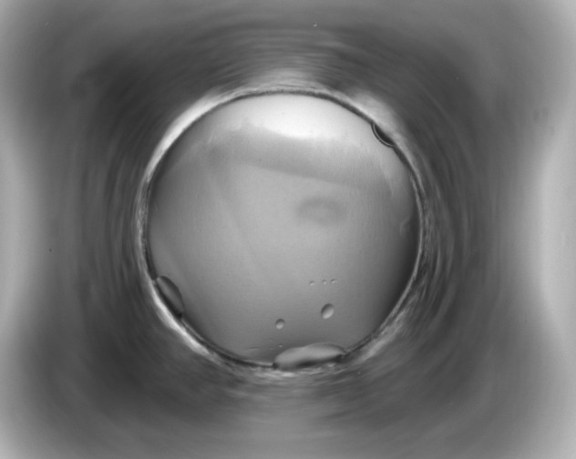 X0000086021390200704091105
