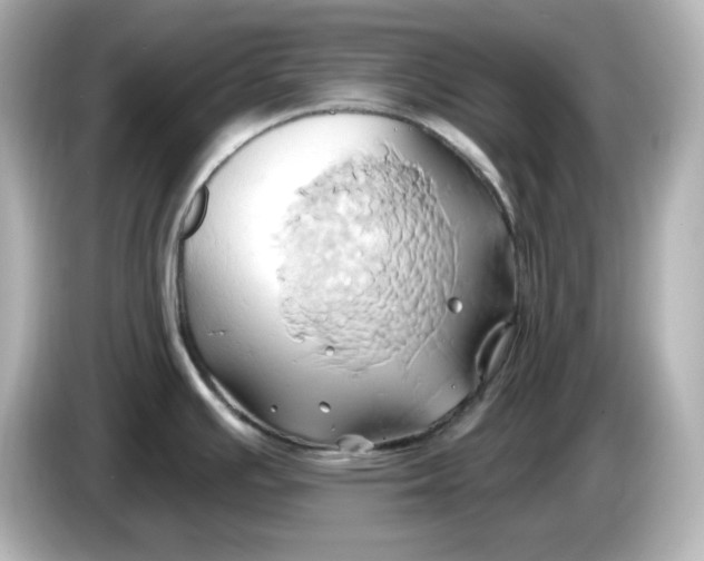 X0000086021391200704091105