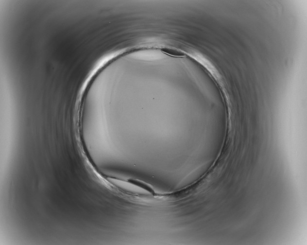 X0000086021392200704091105