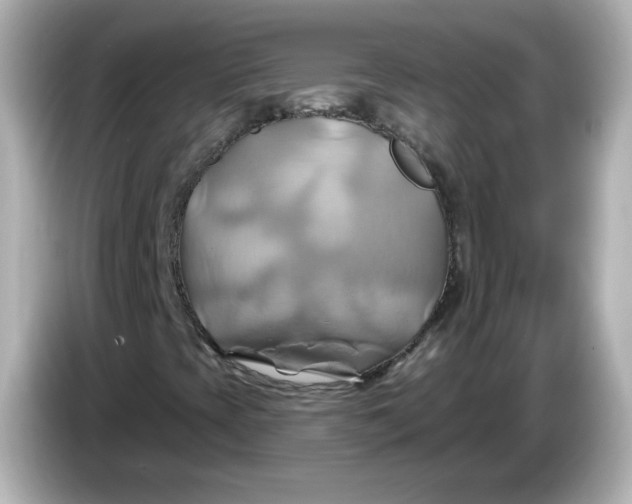 X0000086021393200704091105