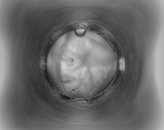 X0000086021395200704091105