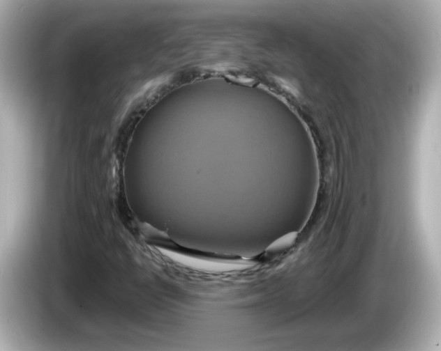 X0000086021398200704091105