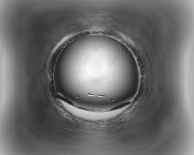 X0000086021400200704091105