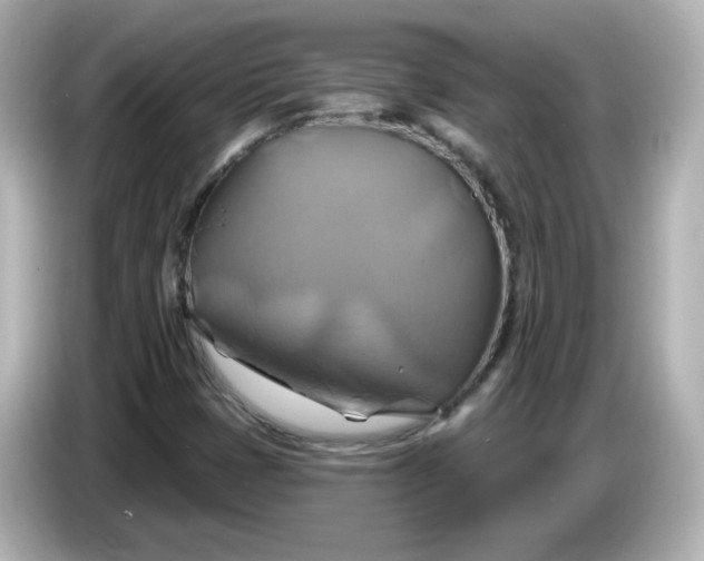 X0000086021401200704091105