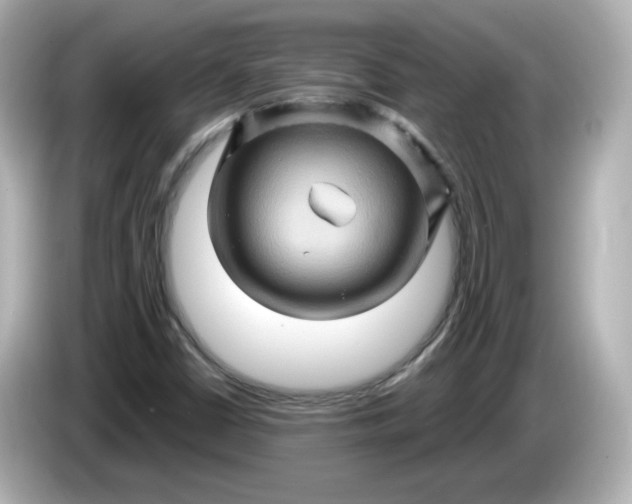 X0000086021402200704091105