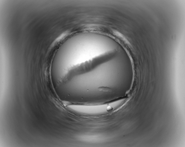 X0000086021403200704091105