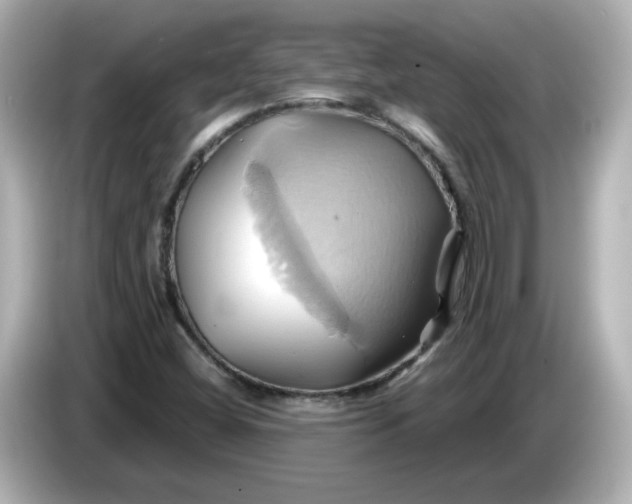 X0000086021404200704091105