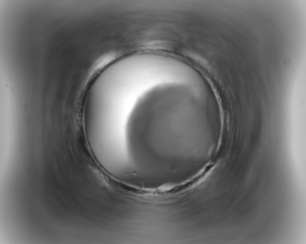 X0000086021405200704091105