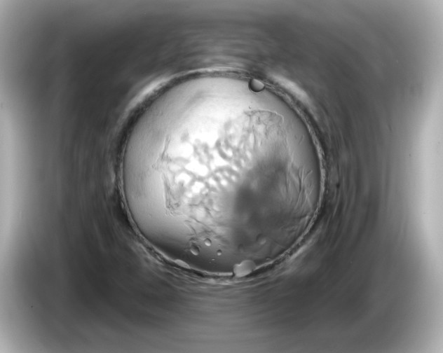 X0000086021407200704091105