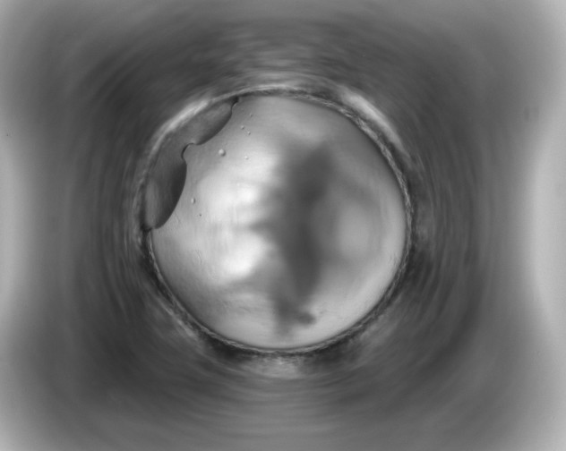X0000086021411200704091105