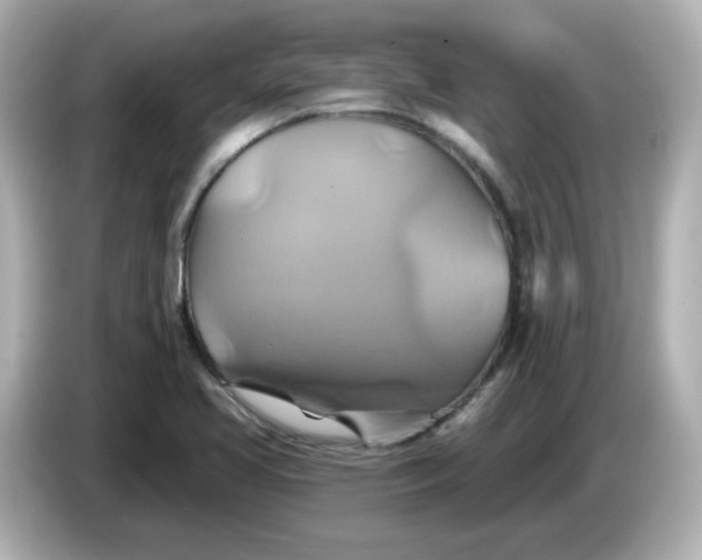 X0000086021413200704091105