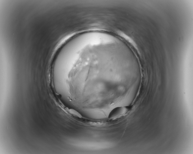 X0000086021415200704091105