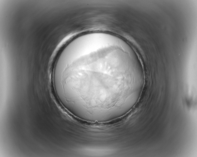 X0000086021416200704091105