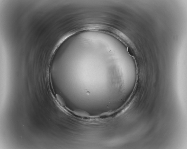 X0000086021417200704091105