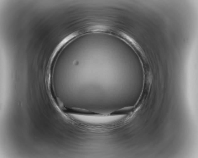 X0000086021418200704091105