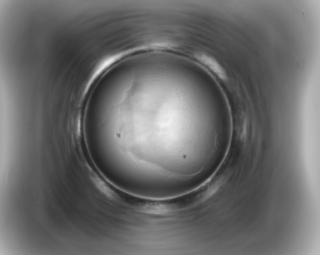 X0000086021420200704091105