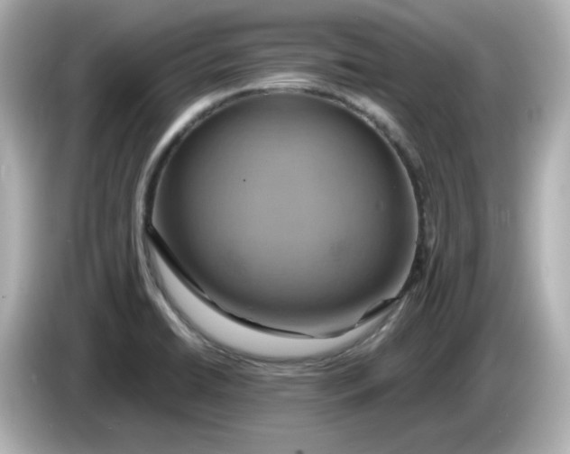 X0000086021422200704091105