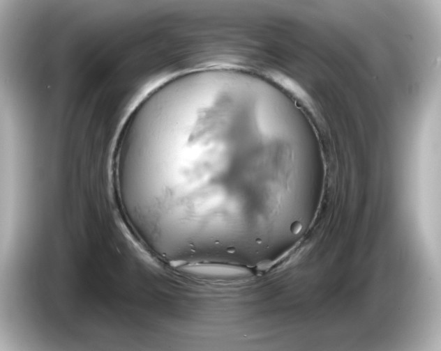 X0000086021423200704091105