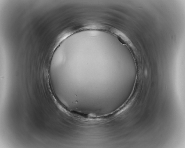 X0000086021425200704091105