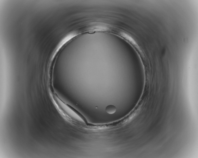 X0000086021426200704091105