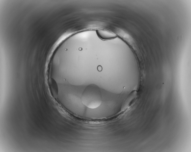 X0000086021427200704091105