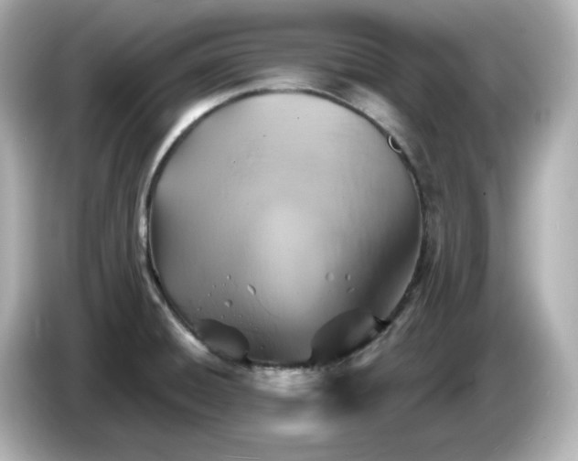 X0000086021428200704091105