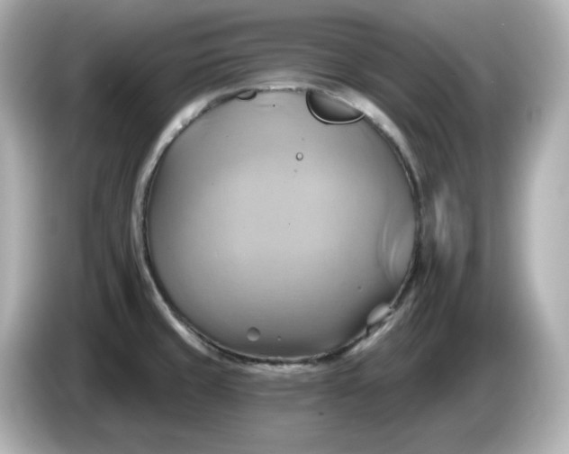 X0000086021429200704091105