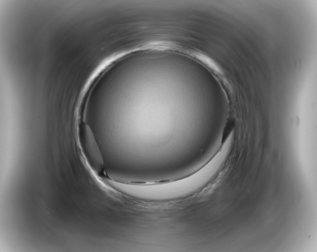 X0000086021430200704091105