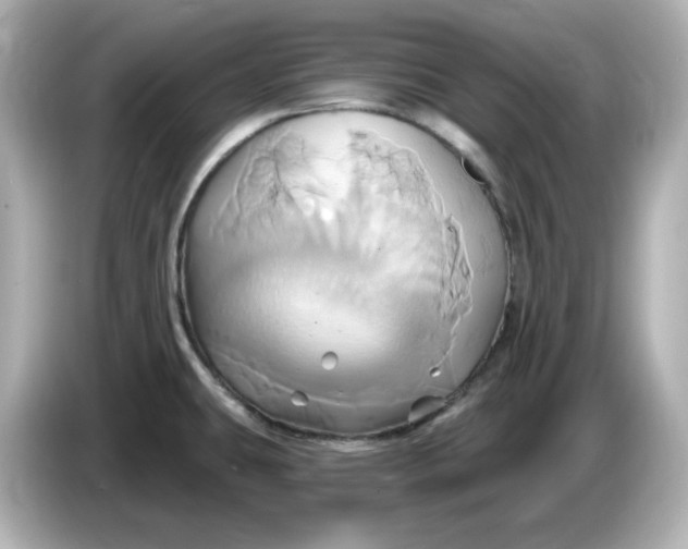 X0000086021431200704091105