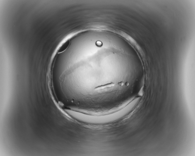 X0000086021432200704091105